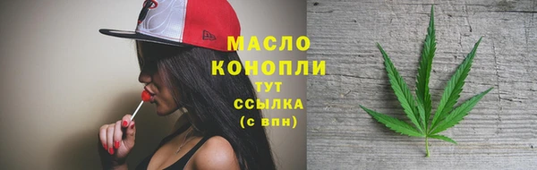 индика Нефтекумск