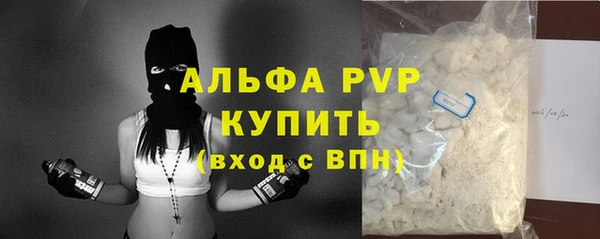 индика Нефтекумск