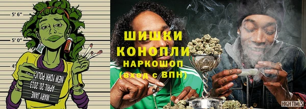 индика Нефтекумск
